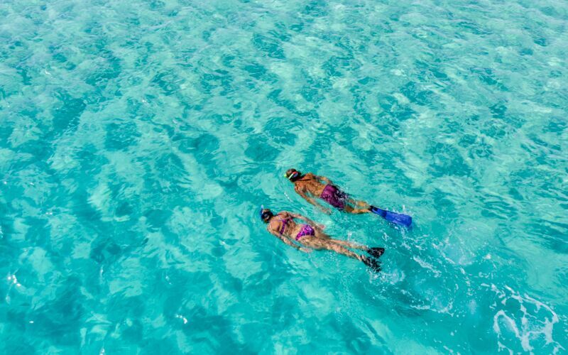 Snorkling i Det Røde Hav