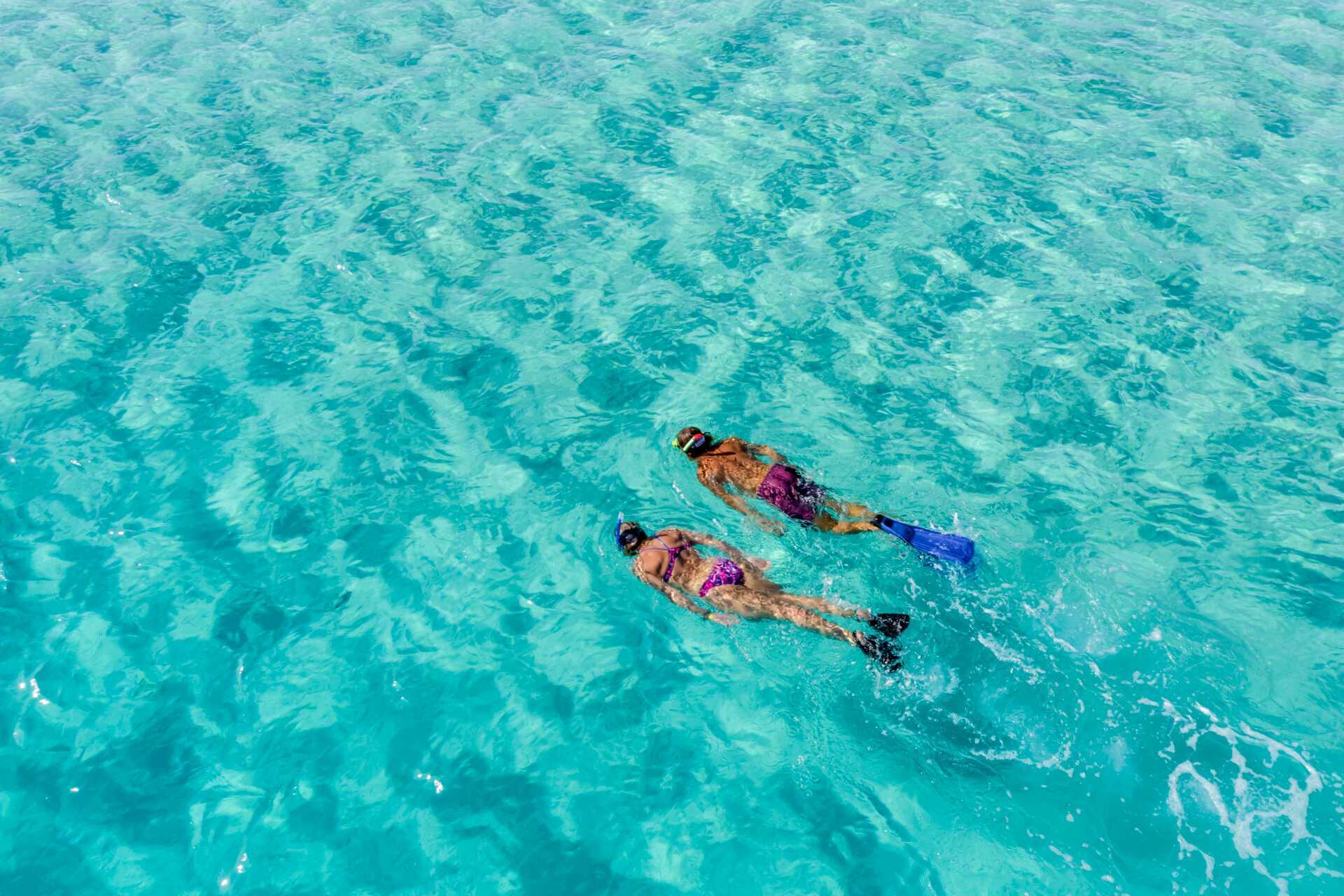 Snorkling i Det Røde Hav