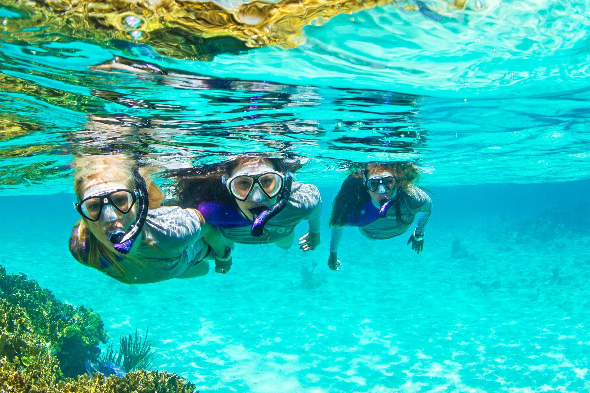 Snorkling på Similan Islands