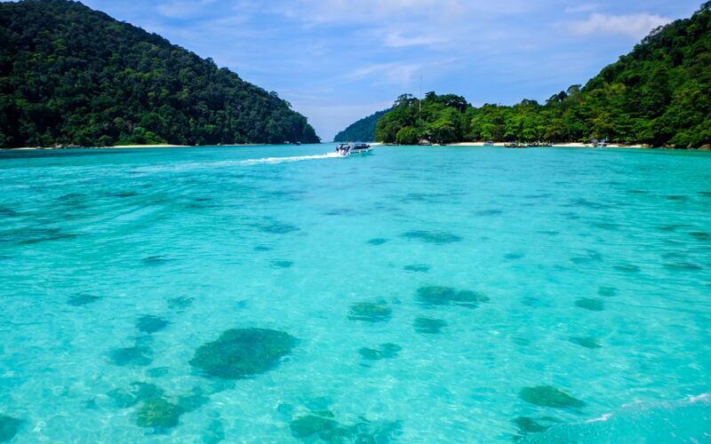Snorkling på Surin Islands