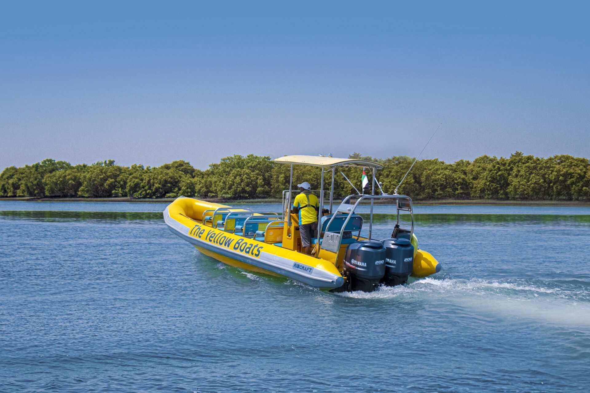 Speedboat sightseeing