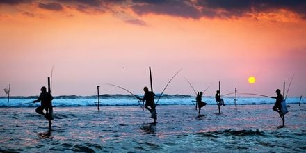 Fiskere på Sri Lanka.