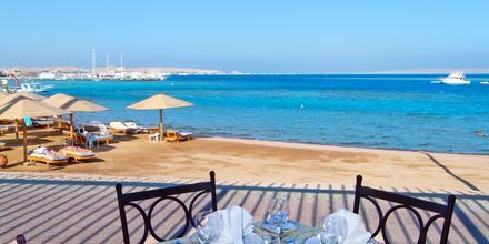 Steigenberger Al Dau Beach, Hurghada i Egypten.