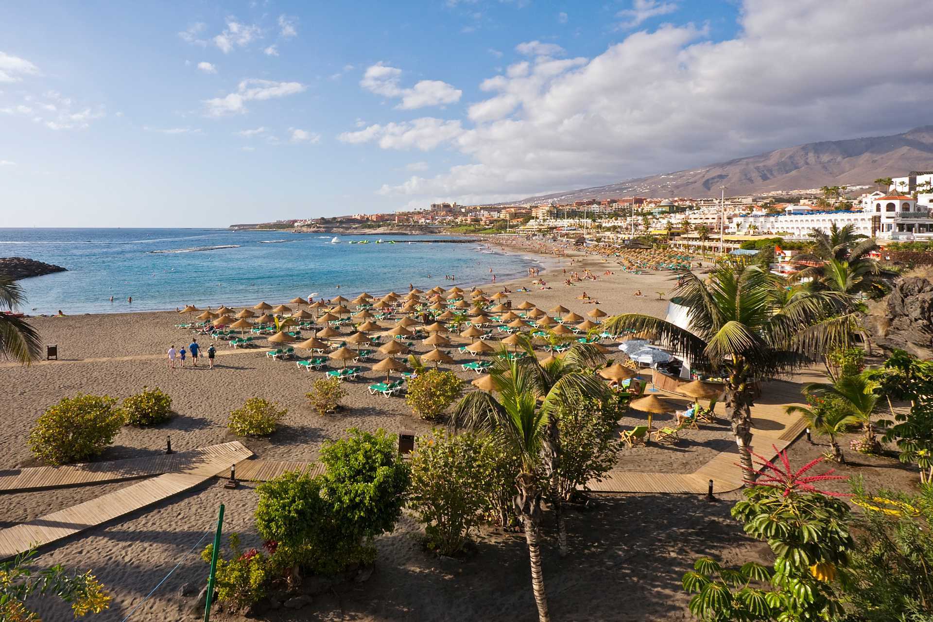 Forskelle skadedyr Kræft Rejser til Tenerife- bedst og billigst med Apollo Rejser