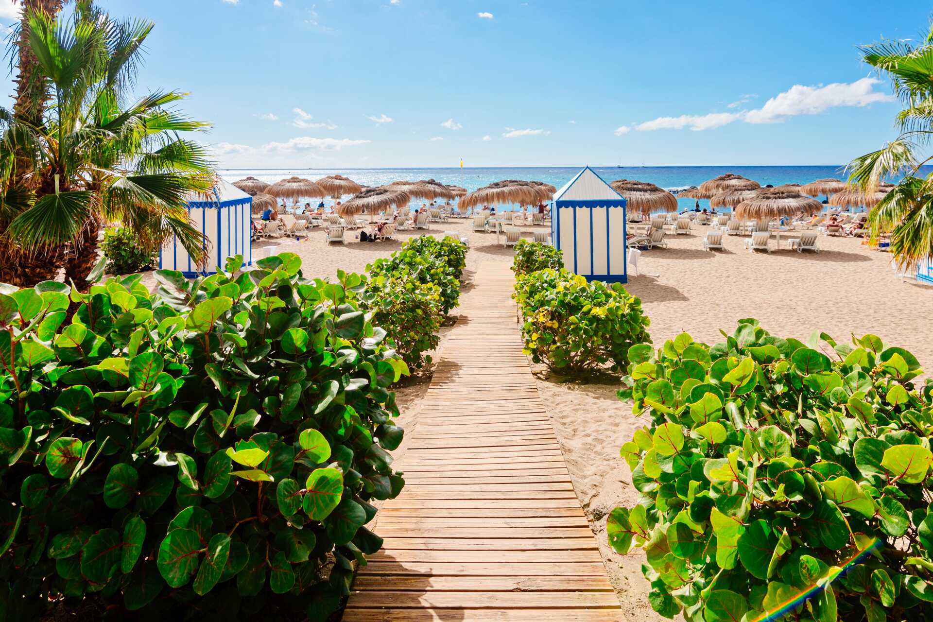 Strand på Tenerife, De Kanariske Øer.