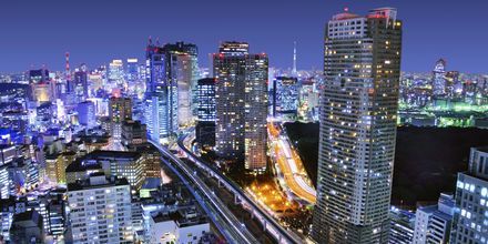 I Tokyo blander skyskraberne sig med hundrede årige japanske traditioner.
