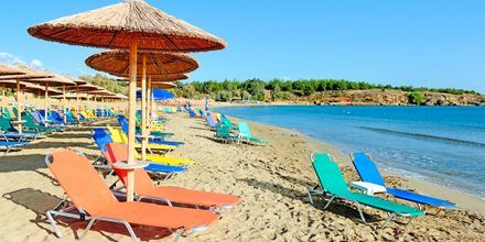 Stranden ved hotel Triton på Kreta, Grækenland.
