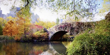 Gå en tur, eller nyd en kop kaffe på en bænk i Central Park i New York, USA.