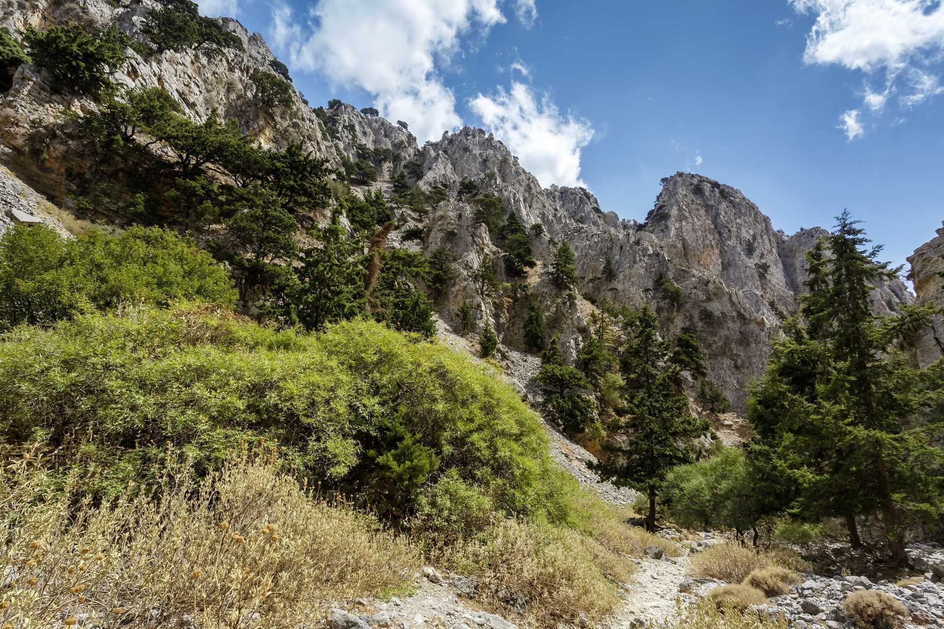 Vandretur igennem Imbros-kløften
