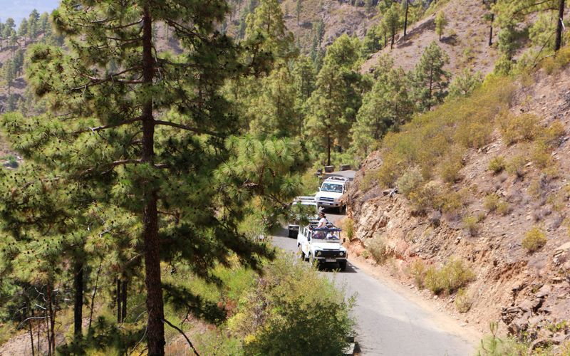 Vild og smuk - Jeepsafari med fantastiske udsigter fra Las Palmas