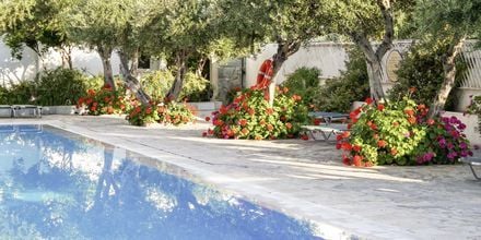Poolområdet på Hotel Villea Village i Makrigialos på Kreta