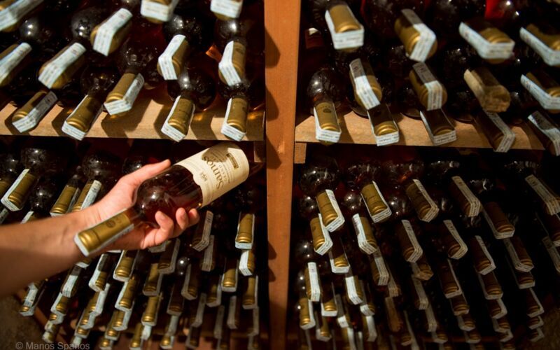 Vinsmagning