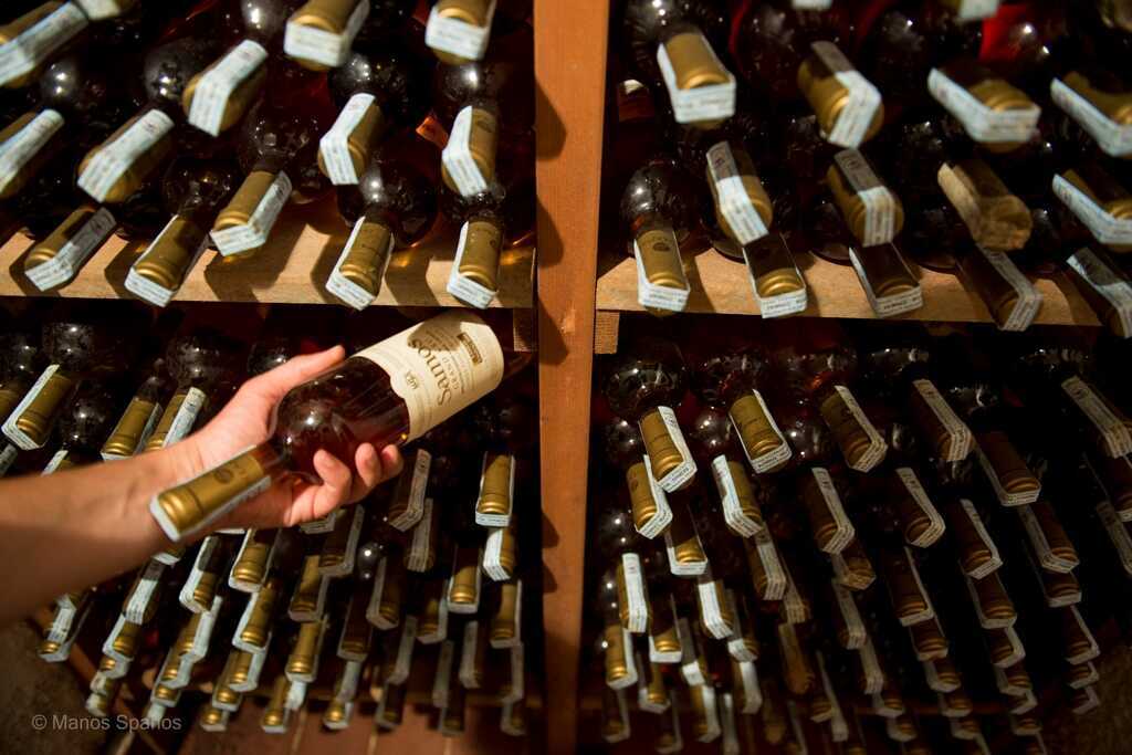 Vinsmagning