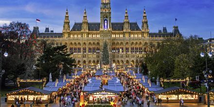 Julemarked i Wien er populært blandt mennesker fra hele verden.